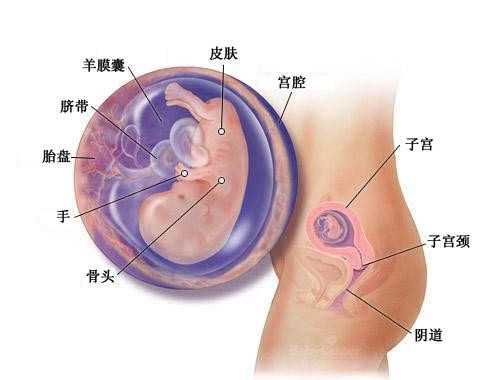 上海供卵地址_福建三代试管婴儿技术的优势是什么？